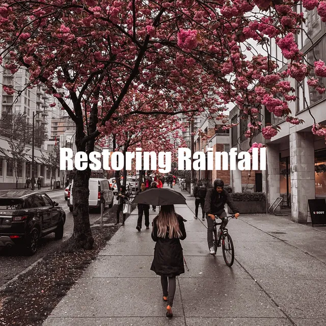 Restoring Rainfall