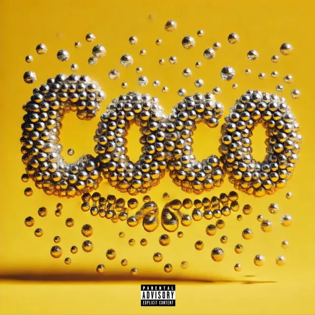 Coco (feat. WILL & P¥TA)