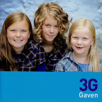 Gaven by 3g