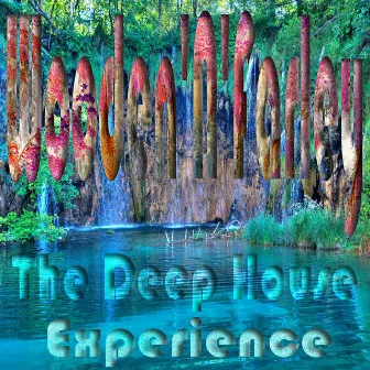 The Deep House Experience by Wooden'N'Farley