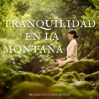 Tranquilidad En La Montaña: Relajación A Gran Altitud by Grabaciones del hombre de la montaña