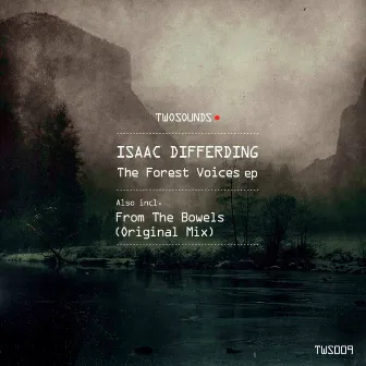 The Forest Voices by Isaac Differding