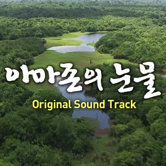 TEARS IN THE AMAZON (Original Soundtrack) by SHIM HYUN JUNG