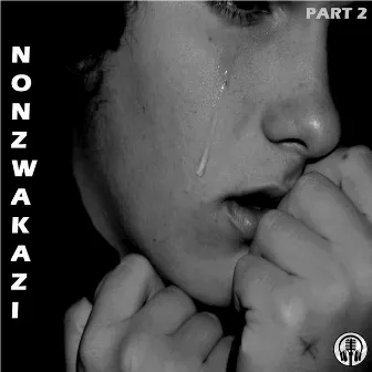 Nonzwakazi, Pt. 2 by Unknown Artist