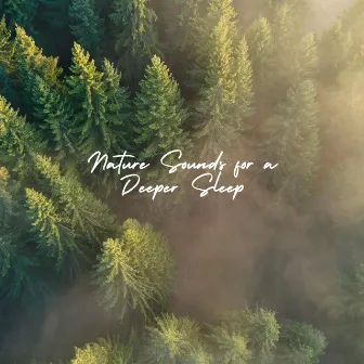 Nature Sounds for a Deeper Sleep by Forest FX Smith