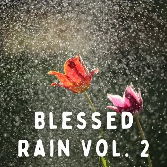 Blessed Rain Vol. 2 by Romantic Jazz Lounge