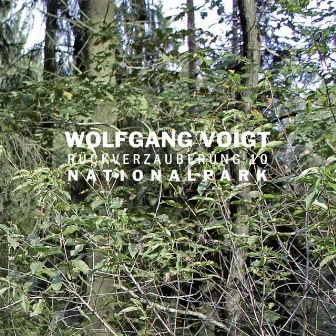 Rückverzauberung 10 / Nationalpark by Wolfgang Voigt