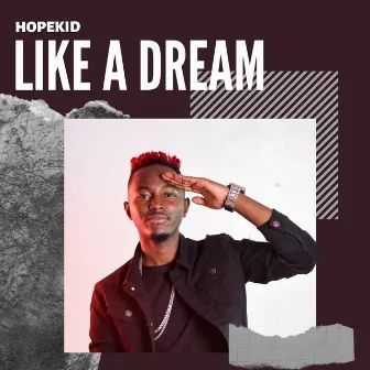 Like a Dream by HopeKid