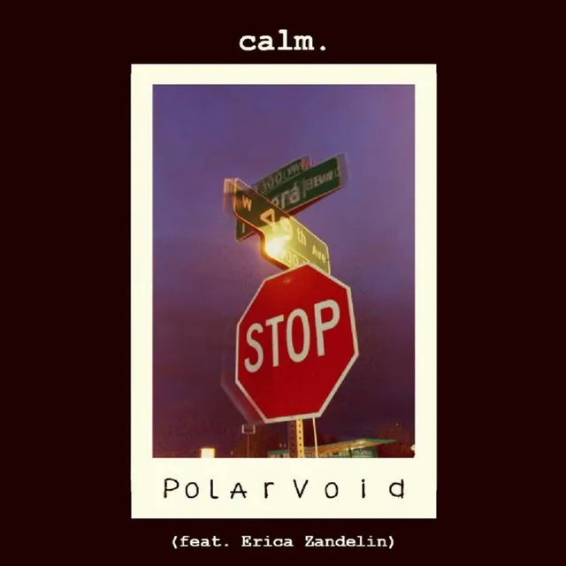 Polarvoid