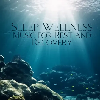 Sleep Wellness: Music for Rest and Recovery, Good Sleep for Cell Repair and Immunity by Sia Moonlight