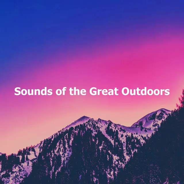 Sounds of the Great Outdoors