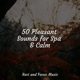 50 Pleasant Sounds for Spa & Calm by Unknown Artist