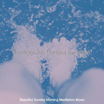 Feelings for Tranquil Sundays by Beautiful Sunday Morning Meditation Music