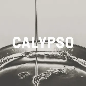 Calypso by The Physics House Band