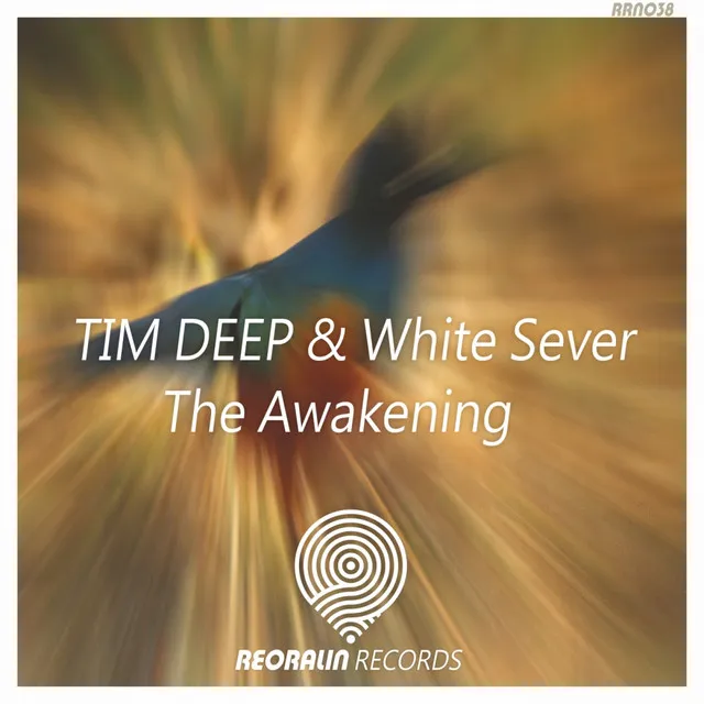 The Awakening - Original Mix