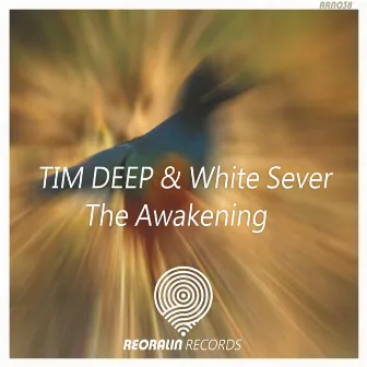 The Awakening by Tim Deep