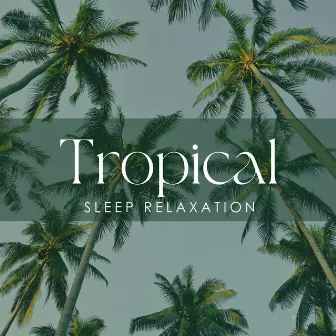 Tropical Sleep Relaxation: Summer Nap Time, Relaxing Music, Exotic Sleepy Soundscapes by Restful Sleep Music Academy