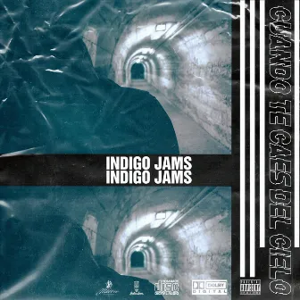 Cuando Te Caes del Cielo by Indigo Jams