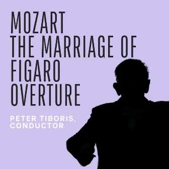 Mozart: The Marriage of Figaro Overture by Peter Tiboris