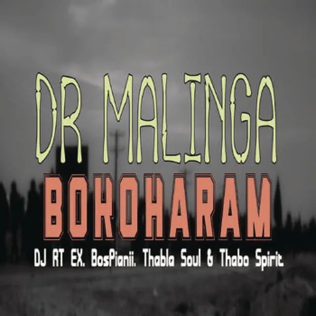 Bokoharam (feat. DJ Rtex, BosPianii, Thabla Soul & Thabo Spirit)