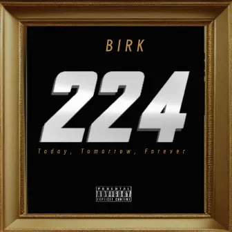 224 by Birk