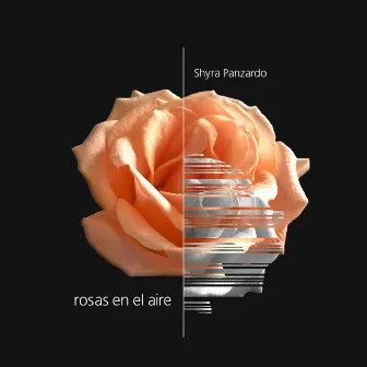 Rosas en el Aire by Shyra Panzardo