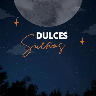 Dulces Sueños: Melodías Relajantes para Combatir el Insomnio by Unknown Artist