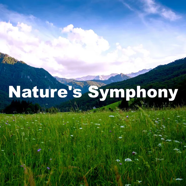 Nature's Symphony