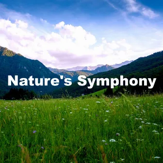 Nature's Symphony by HD Samples