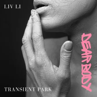 Dear Body by Transient Park