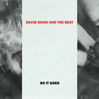 So It Goes by David Shaw and The Beat