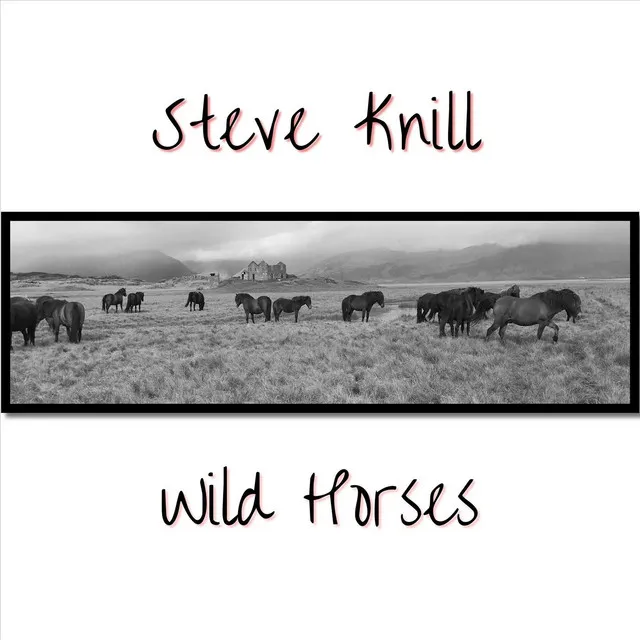 Wild Horses