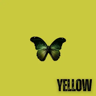 Yellow by Jamie Black