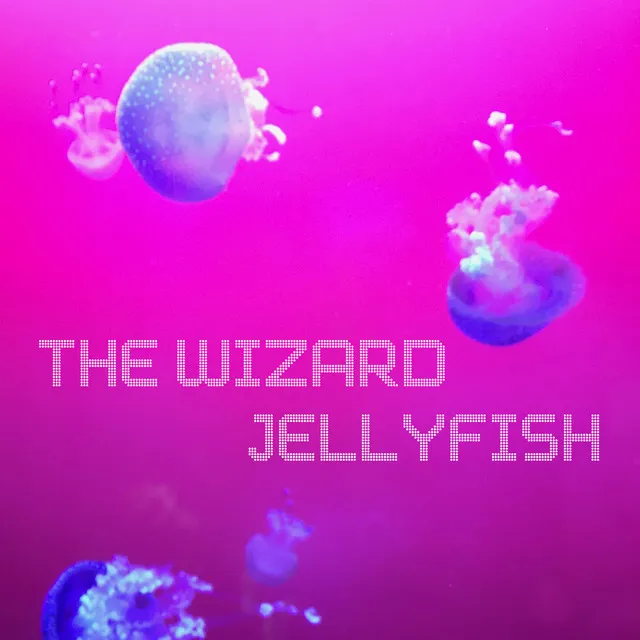 Jellyfish