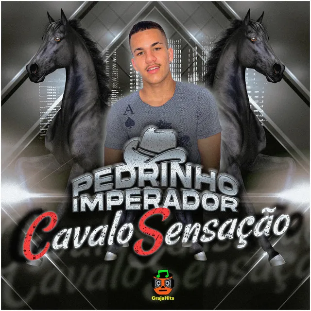 Cavalo Sensação