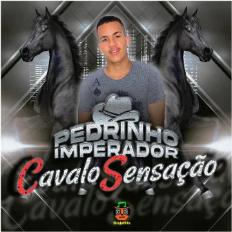 Cavalo Sensação by Pedrinho Imperador