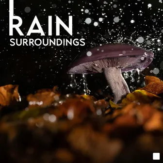 Rain Surroundings - Sleeping and Relaxing Rain Sounds by Pure Sound Universe