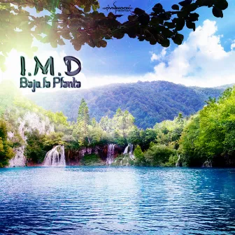 Bajo la Planta by I.M.D.