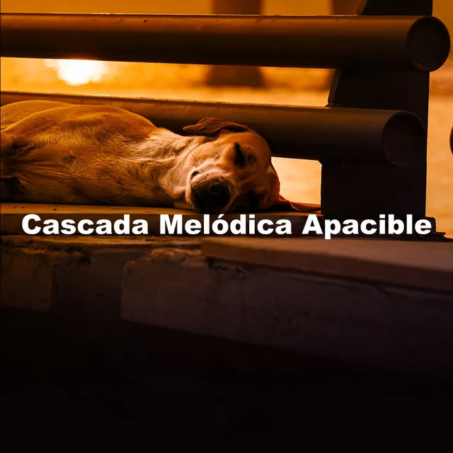 Cascada Melódica Apacible