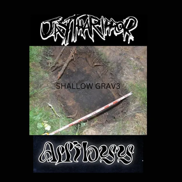 Shallow Grave