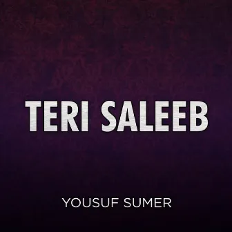 Teri Saleeb by Terofina Daniel