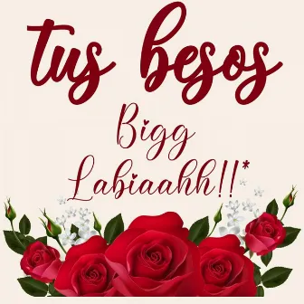 Tus Besos by Bigg Labiaahh!