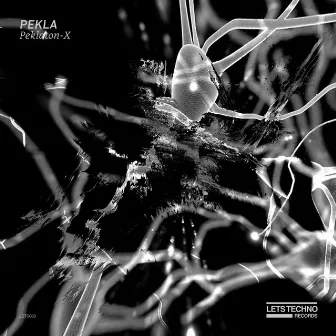 Peklaton - X by PEKLA