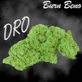 Dro (Radio Edit) by Burn Beno