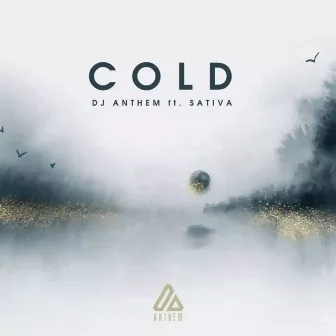 Cold by Dj Anthem