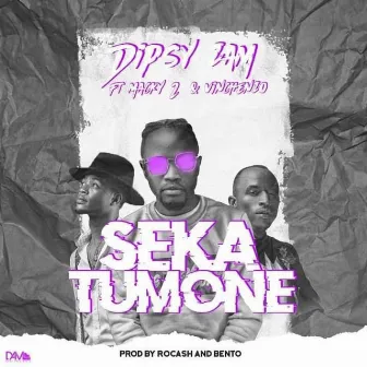 Seka Tumone by Dipsy Zambia