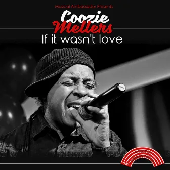 If It Wasn't Love by Coozie Mellers