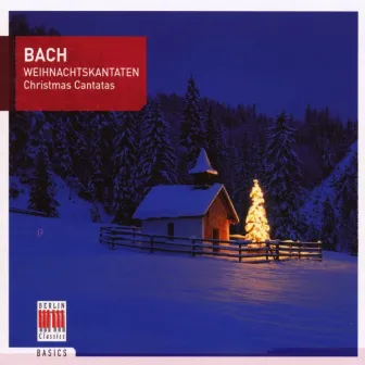 Bach: Chistmas Cantatas by New Bach Collegium Musicum Leipzig