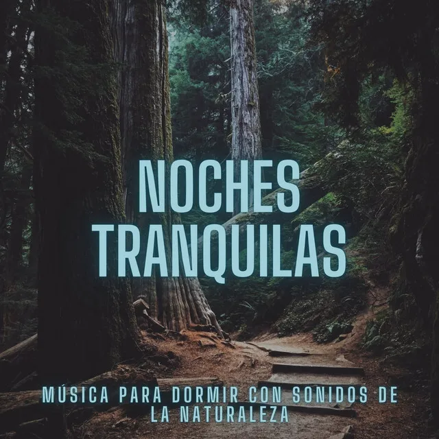 Noches Tranquilas: Música Para Dormir Con Sonidos De La Naturaleza