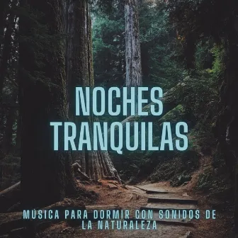 Noches Tranquilas: Música Para Dormir Con Sonidos De La Naturaleza by La Academia de Música para el Sueño Profundo